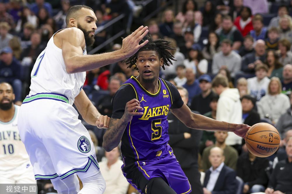 它们不仅是 它们不仅是